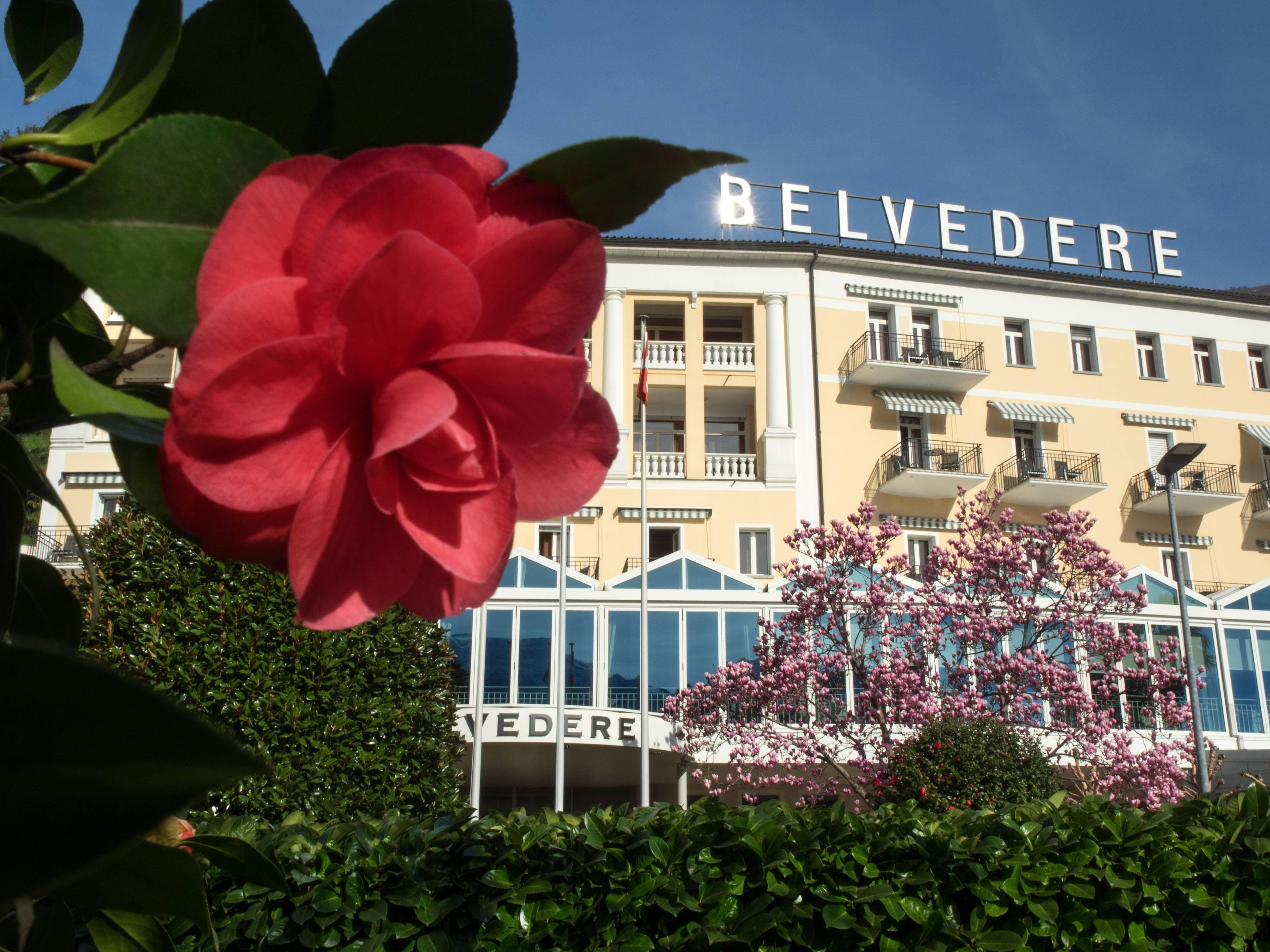Belvedere Hotel